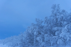 Winter Wonder Land