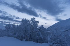 Winter Wonder Land