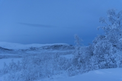 Winter Wonder Land