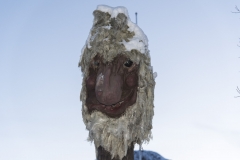 Trollland