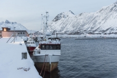 Gryllefjord