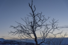 Blaue Stunde