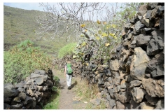 Teneriffa_003