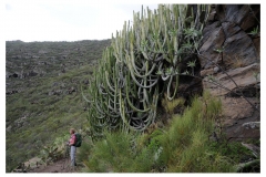 Teneriffa_008