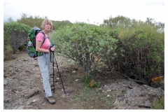 Teneriffa_015