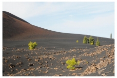 Teneriffa_113
