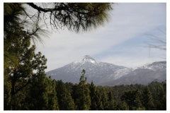 Teneriffa_116