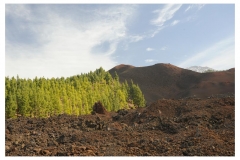Teneriffa_126