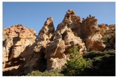 Teneriffa_228