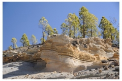 Teneriffa_296