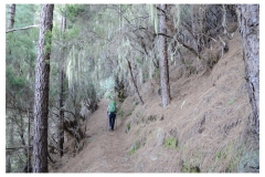 Teneriffa_329
