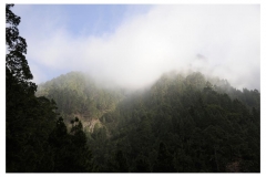 Teneriffa_348