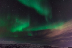 troms_2021_0023