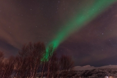 troms_2021_0058