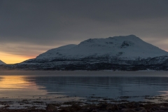 troms_2021_0115