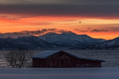 troms_2021_0140