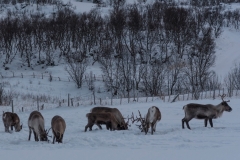 troms_2021_0160