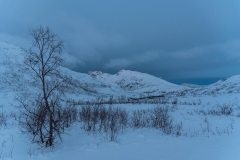 troms_2021_0161