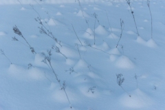 troms_2021_0221