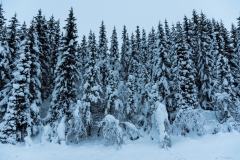 troms_2021_0223