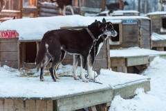 troms_2021_0721