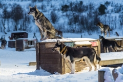 troms_2021_0724