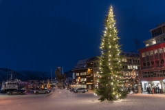 troms_2021_0741