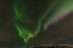 troms_2021_0788
