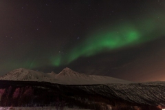 troms_2021_0793