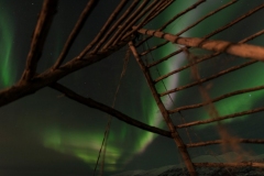 troms_2021_0864