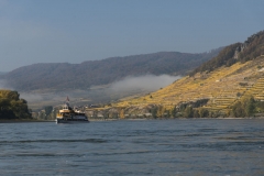 Wachau_Okt_19_004
