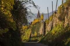 Wachau_Okt_19_017