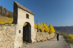 Wachau_Okt_19_022