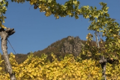 Wachau_Okt_19_023