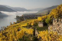 Wachau_Okt_19_029