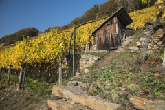 Wachau_Okt_19_031