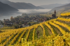 Wachau_Okt_19_032