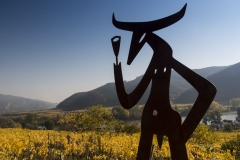 Wachau_Okt_19_049