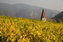 Wachau_Okt_19_056